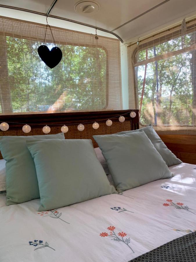Magic Roof Top Bus With Big Bath In The Tree Forest! ميميزا بلاج المظهر الخارجي الصورة