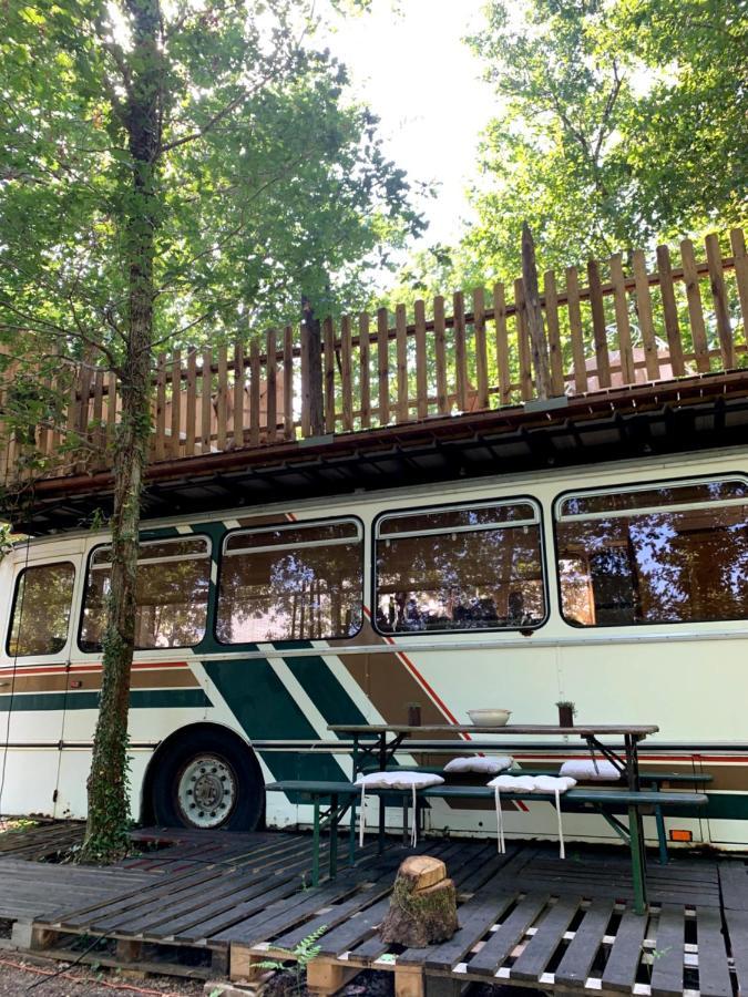 Magic Roof Top Bus With Big Bath In The Tree Forest! ميميزا بلاج المظهر الخارجي الصورة