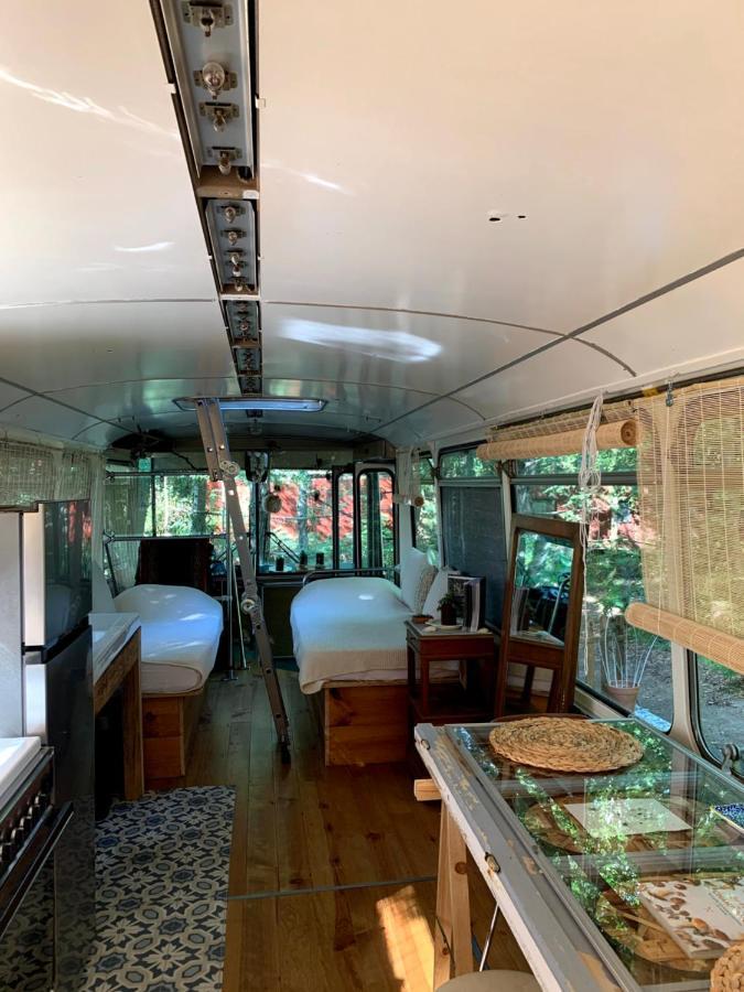 Magic Roof Top Bus With Big Bath In The Tree Forest! ميميزا بلاج المظهر الخارجي الصورة