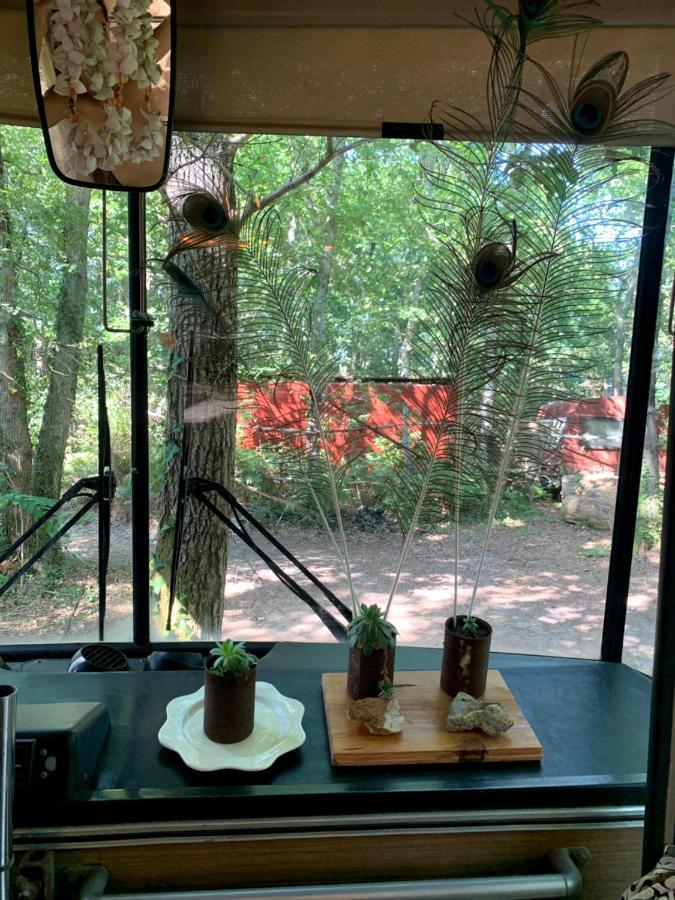 Magic Roof Top Bus With Big Bath In The Tree Forest! ميميزا بلاج المظهر الخارجي الصورة